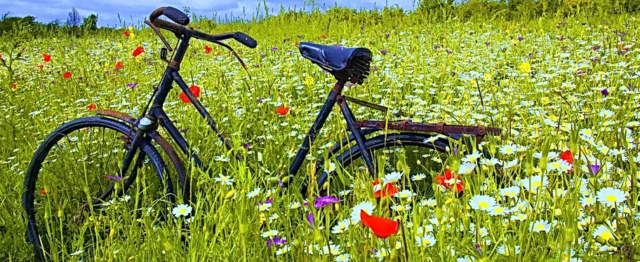 Photo d'un vélo dans un champ